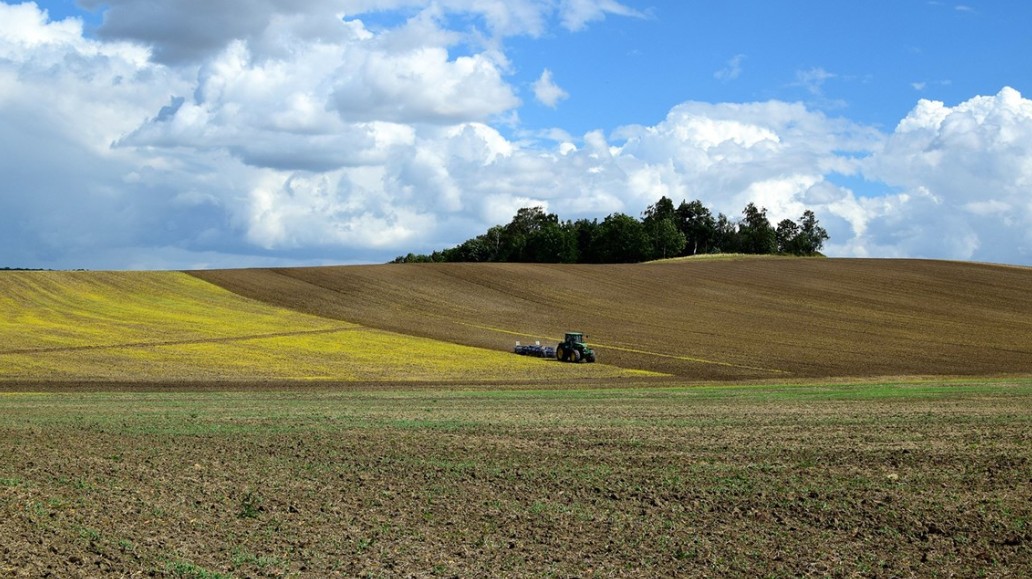 Tiden i rötkammaren har liten effekt på rötrestens bördighetsuppbyggnad
