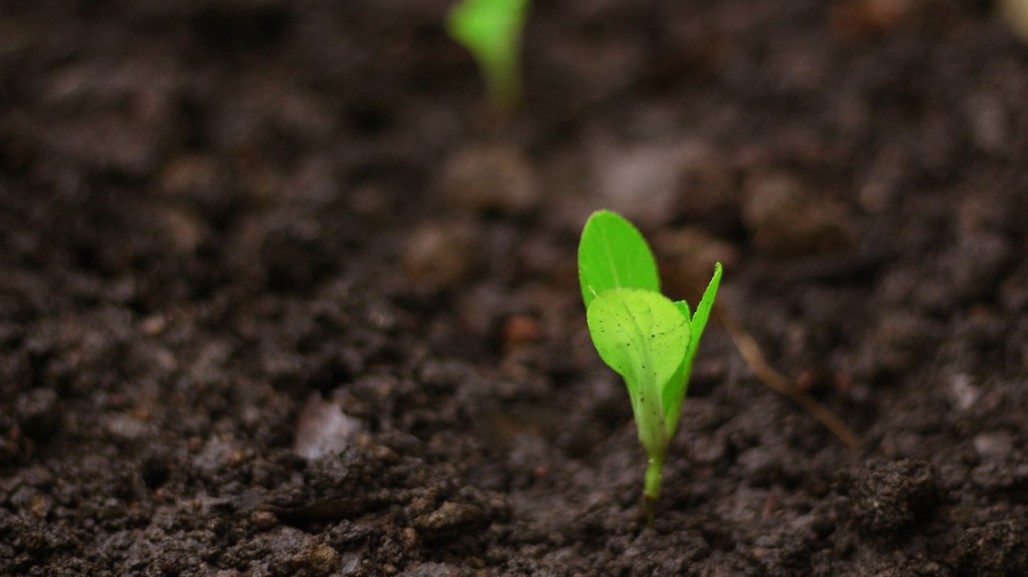 Nyhetsbrev - Ökat värde ur Digestat