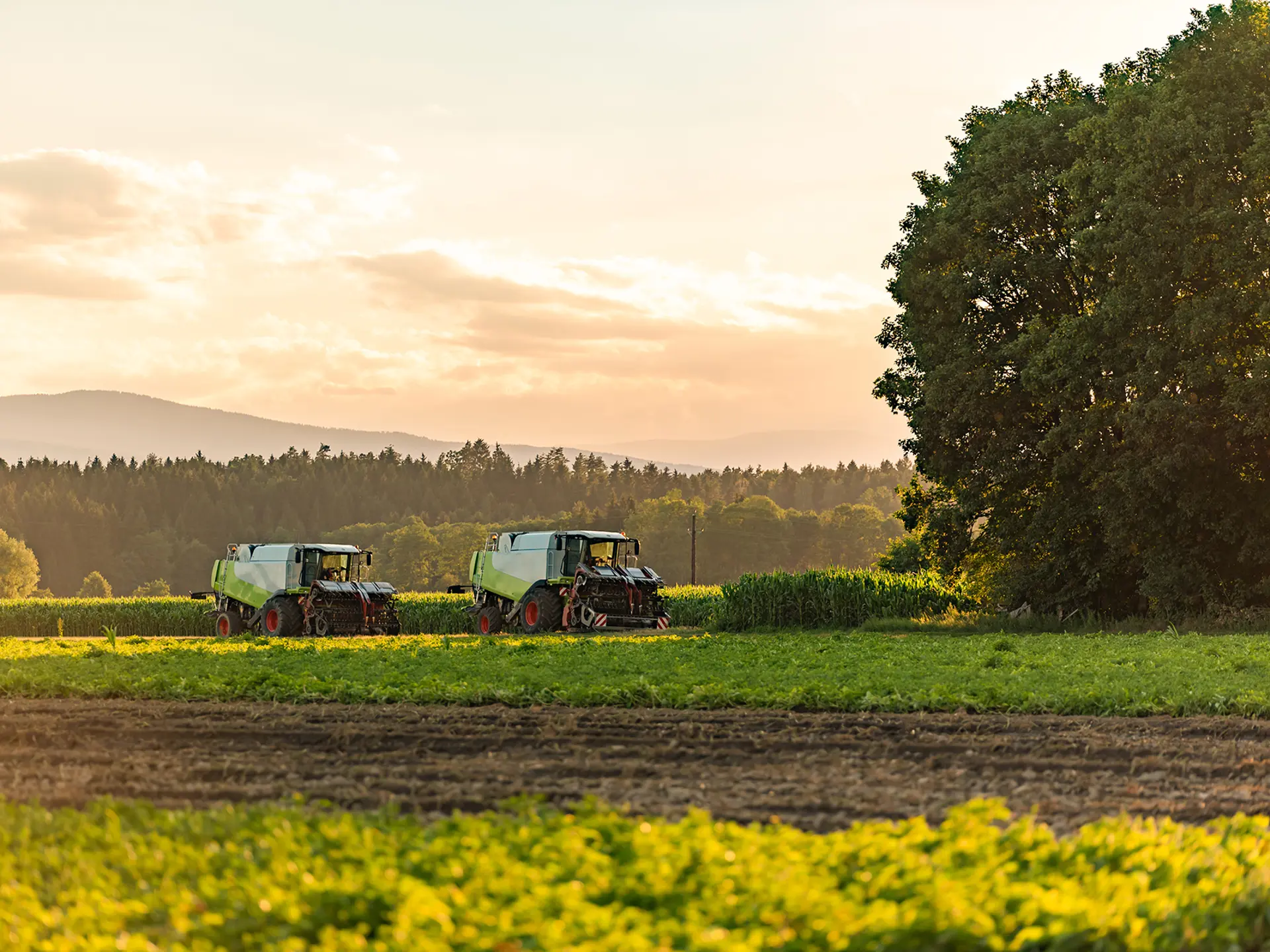 Två jordbruksmaskiner på ett fält i kvällsljus.