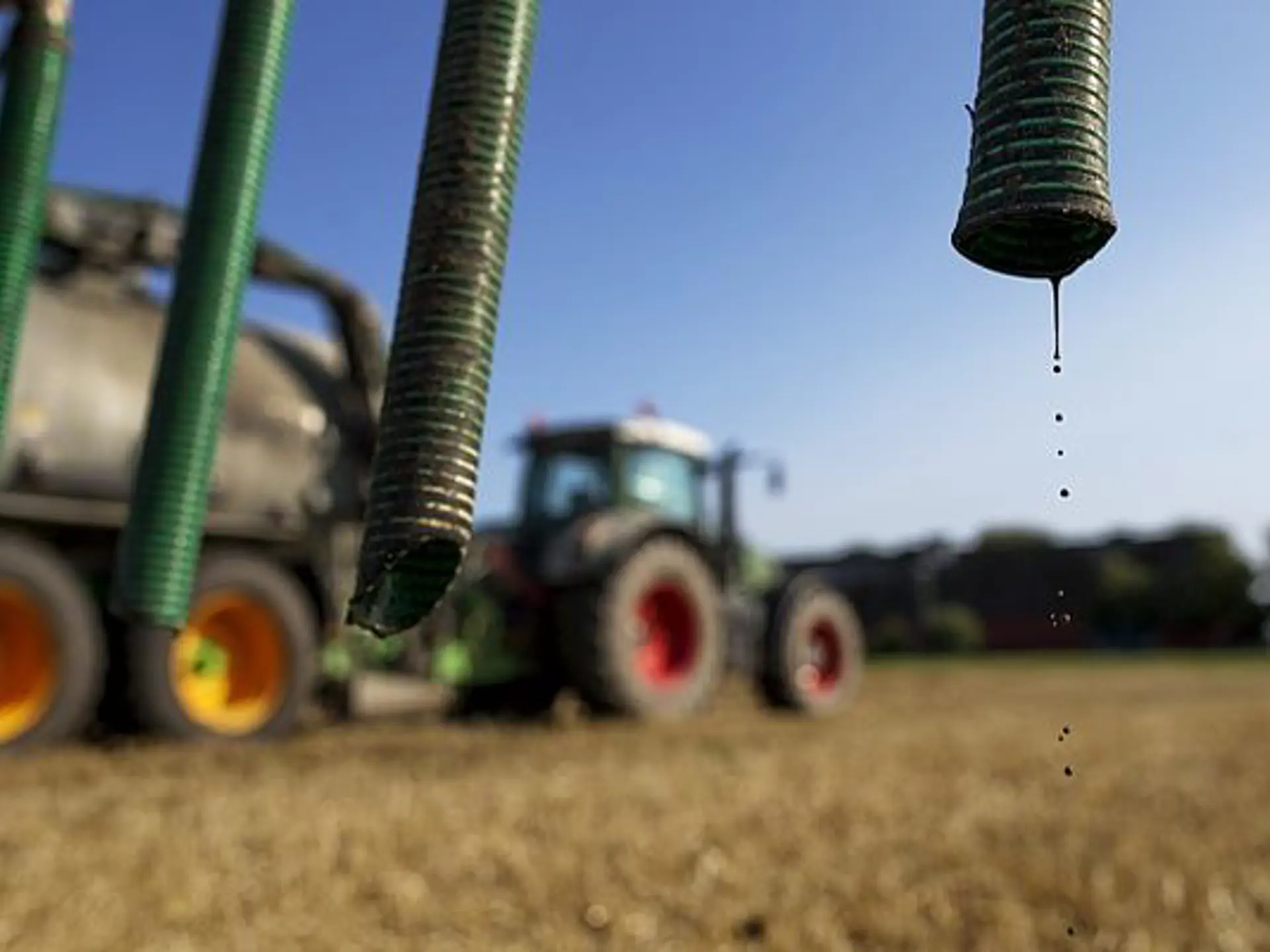 Traktor syns i bakgrunden i solljus. I förgrunden syns slangar.